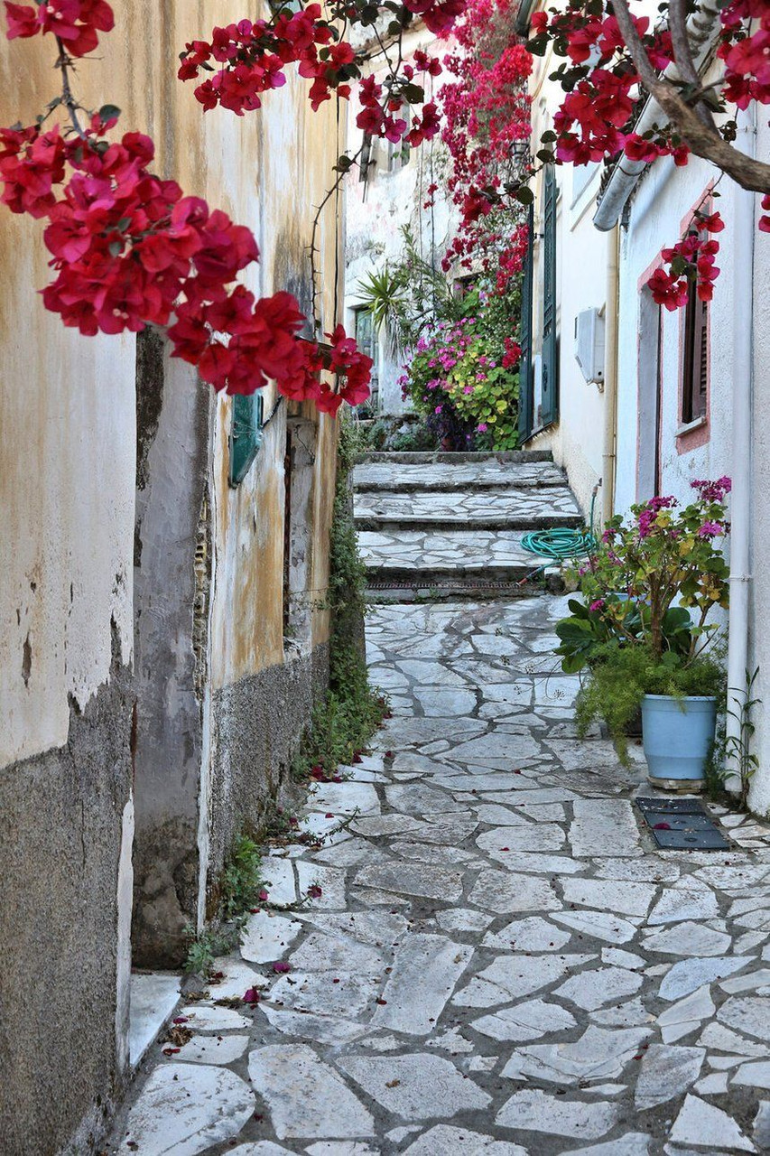 Ruelle fleurie de bougainvilliers dans un village - Corfou - Grèce