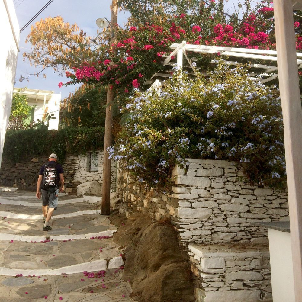 Wanderer in einer blumengeschmückten Gasse von Apollonia - Sifnos - Griechenland