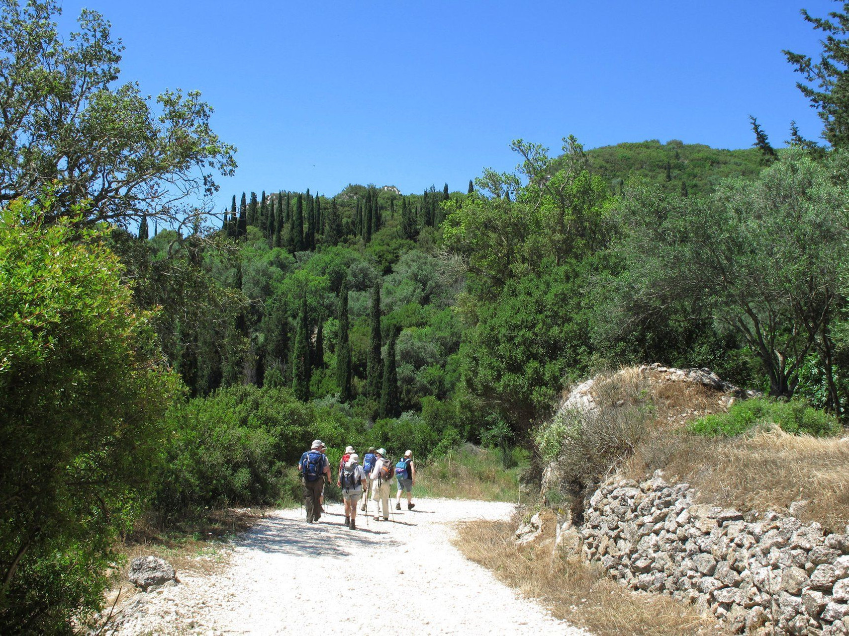 Randonneurs sur un sentier bordé de cyprès - Grèce