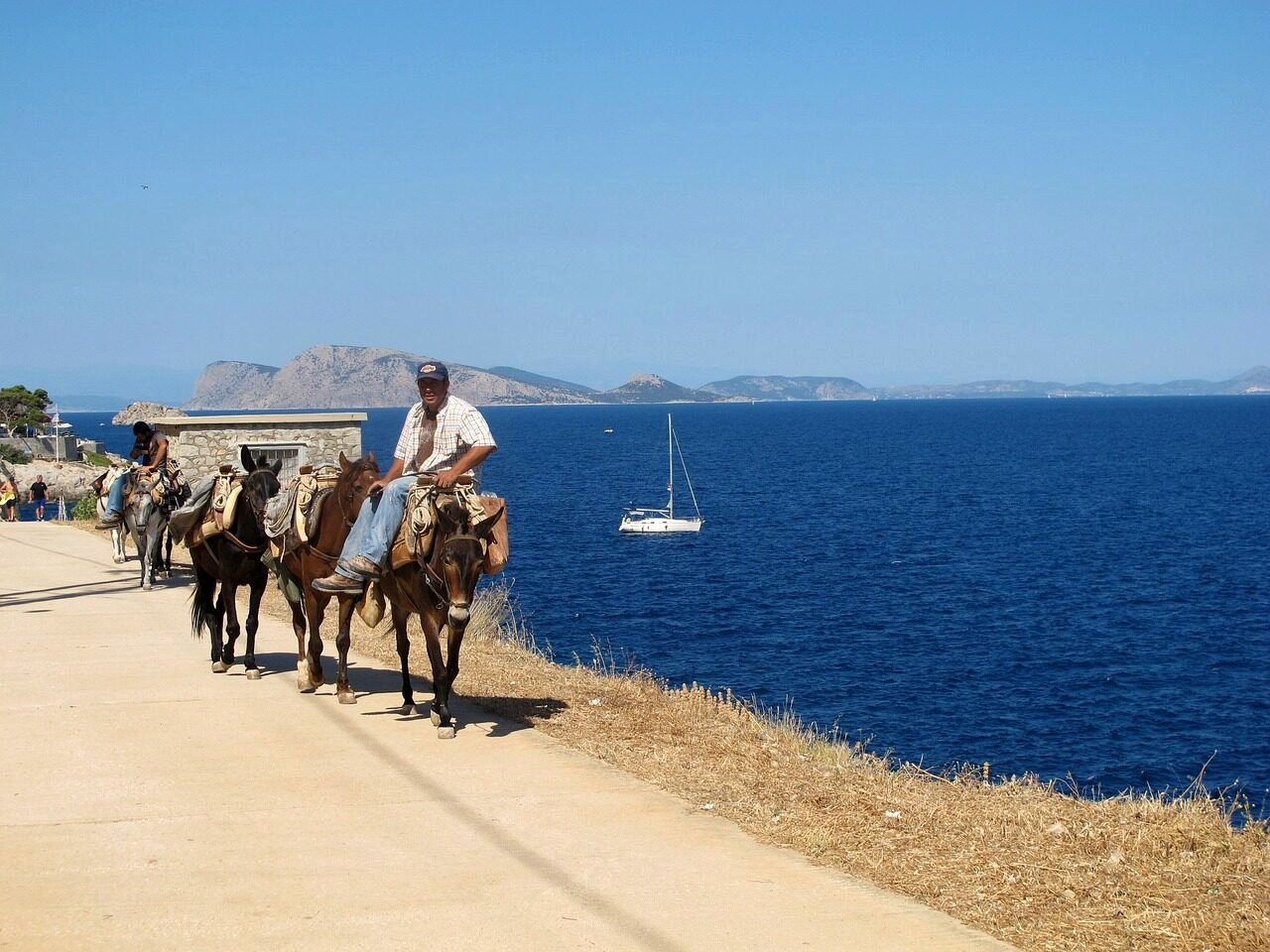 Küstenweg und Maultiere am Meer – Hydra – Griechenland