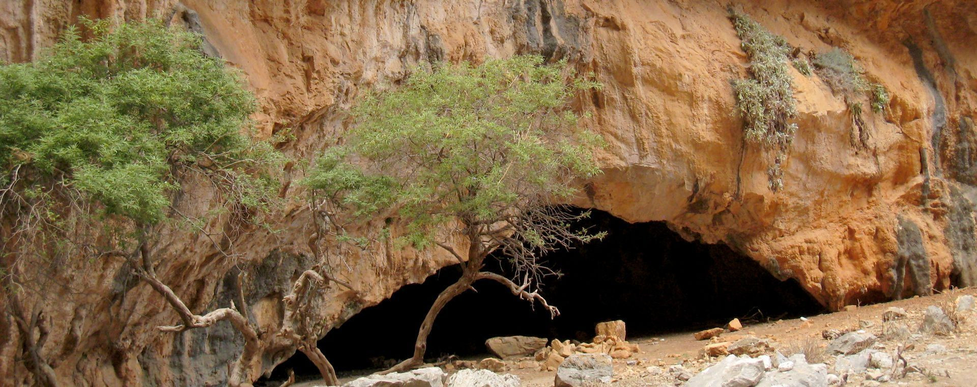 Cavité rocheuse ocre et arbres dans le ravin aride - Gorges d'Aradena - Crète, Grèce